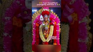 🕉️ #வைகாசி# #விசாகம்# #வழிபாட்டின்# #பலன்கள்# #ட்ரெண்டிங்# #shorts video#