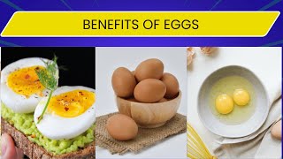 Benefits of Eggs ll Health and Wisdom.