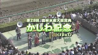 2016/5/5かしわ記念船橋ダート1600m田辺騎手１着ｺﾊﾟﾉﾘｯｷｰ
