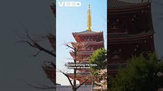 #japan #travel #tokyo #tokyolife #short #viralshort
