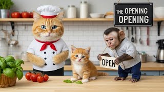  Mama Cat Opens a Pizza Shop with Her Kitten – You Won’t Believe What Happens! 🍕🐱