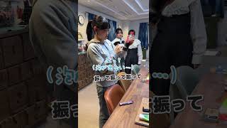 絶対に失敗するメントスコーラドッキリwww#Shorts