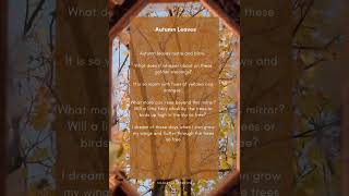 Autumn Leaves 🍂 #naturestories #nature #shortstories #autumn #autumnleaf
