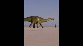 Top 10 About Amazing Facts in Hindi #facts #shorts #hindi