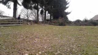 Forst & Garten Twers 32839 Steinheim Baumfäller Baumfällung