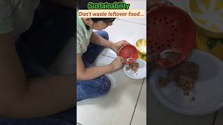 Sustainability 2025: Kindness Starts with a Meal 🥘🐈💛#dontwastefood #sustainableliving#shorts