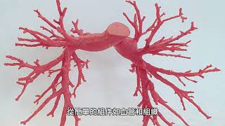 未來十年內可能出現的10個最新科技以及他們將如何改變人類的生活