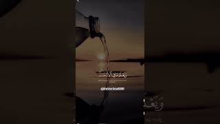 #subhanallahforeverything#quranrecitation#quranlines#allahisone#blessed