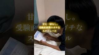 受験期のガチスケジュール #勉強 #受験 #勉強法