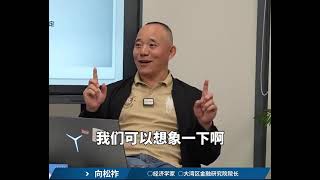 经济学家向松祚讲为何美元不会崩盘