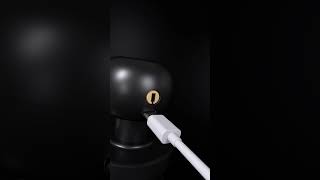 Probrico Smart Door Knob