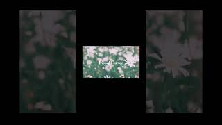 My version to this song #edit #fyp #shorts #untilifoundyoustephensanchez