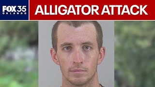 Florida man arrested for allegedly dismembering alligator