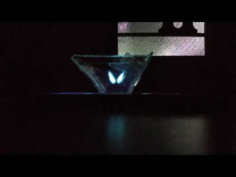 Butter fly in hologram