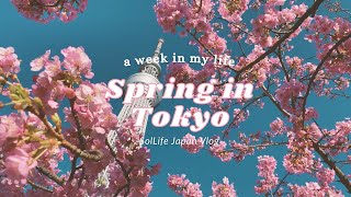 Tokyo Vlog | Daily life in Tokyo Cherry blossoms, Kawazu sakura, teleworking working in Japan, cafes