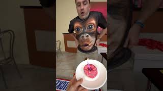 Gorilla blows out a candle on a cake