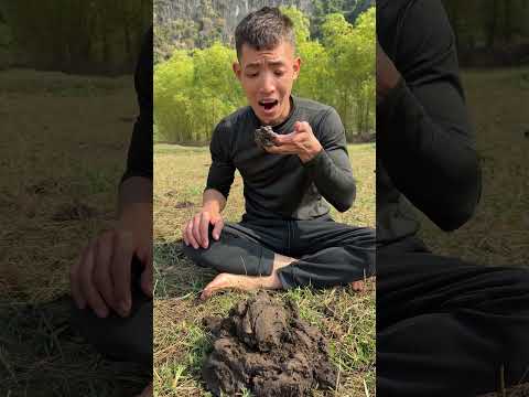 How to Survive in the Wilderness with No Food | Essential Survival Tips"