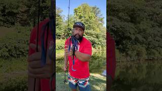 Chatter-bait and Bass on