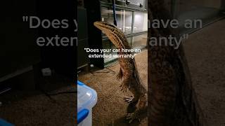 My pet monitor lizard thinks he's a cat.