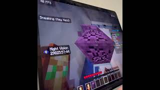 Donutsmp Bug Report