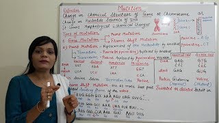 Class (29) = Mutation (Part 01) | Introduction to Mutation and Types | Point & Frameshift Mutation