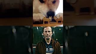 Cheems dog is dead #trending #edit #cheemsdog #h4xi #meme2023 #sadedit