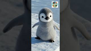 M to Q Alphabet Song Cute Animal ABC Rhyme for Preschoolers