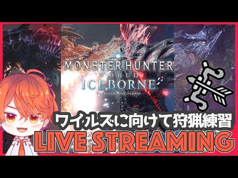 【雑談】モンハンワイルズ発売までもうすぐ！今日は仕上げで黒龍討伐で宴じゃ！【エルザレト(ELZA LET) #vtuber 】