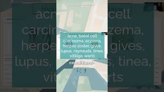 AI powered skin disease classifier