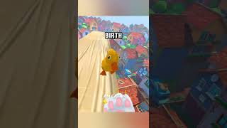 Duckling takes a GREAT FALL (I am Cat VR)