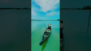 വലയും കായലും❤️# Kerala back water beauty # Kerala fishing 🐟🐟 # kerala nature #Viralvideo# Shorts