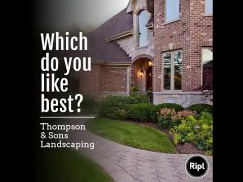 Which Do You Like Best?