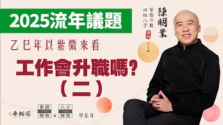 紫微流年議題 | 2025年 | 乙巳年 | 你的工作會不會異動（二）《紫微解密》(字幕版)