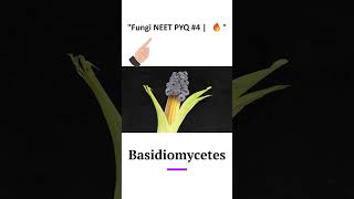 "Fungi NEET PYQ #4 🔥" #shorts #FungiPYQ #Basidiomycetes #NEETbotanybiosphere