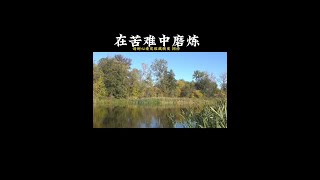 在苦难中磨炼 #修心 #修心修行 #修行 #修行信仰福慧双修 #修心禅语