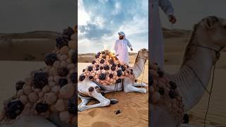 A Bedouin helped his faithful camel get rid of parasites by burning them off #camel