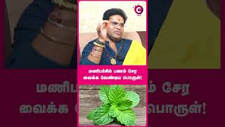 மணிபர்சில் பணம் சேர வைக்க வேண்டிய பொருள்! - Star Anand Ram #shorts #shortvideo #cosmoview