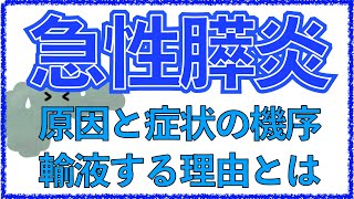 教科書をわかりやすく！「急性膵炎とは」原因や症状、治療を解説！胆石でなる理由とは