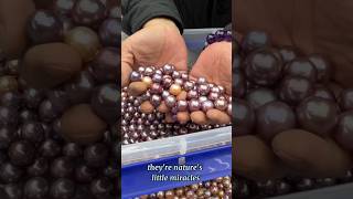 How a Pearl is Born Inside an Oyster" #shorts #viral #trending #youtubeshorts #facts
