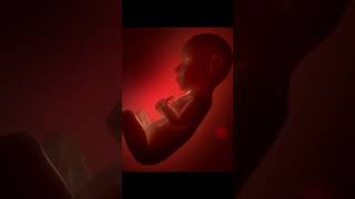 AI AND ME TALK ABT SENSITIVE TOPIC#abortionlaw