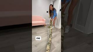 WHEN YOU FIND THE BEST STICK