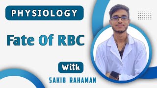 Fate Of RBC | Destruction of RBC | Red blood cells | Bilirubin metabolism | Blood physiology bangla