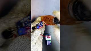 Alcohol Detection Made Easy  #diy #preventaccidents #safeindia