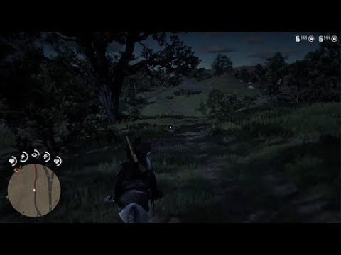 Weird rdr2 bug Red Dead Redemption 2_20231218162146