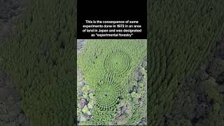 Experimental Forestry in Japan