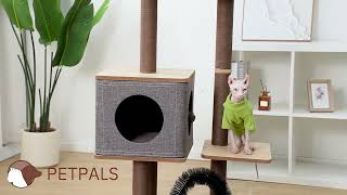 PetPals Elevate (PP19705) Play Video