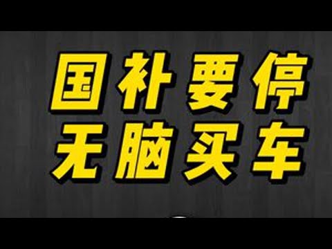 国补要结束？买车抓紧无脑冲？ #国补 #买车 #新能源汽车
