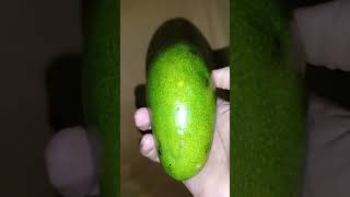 आम | Mango #eatingchallenge d62