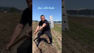 Hoe with blade" Multi-function weeding rake
