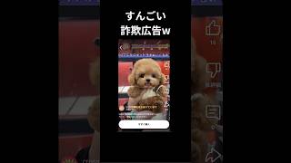 かわいいー#中華 #犬ロボット